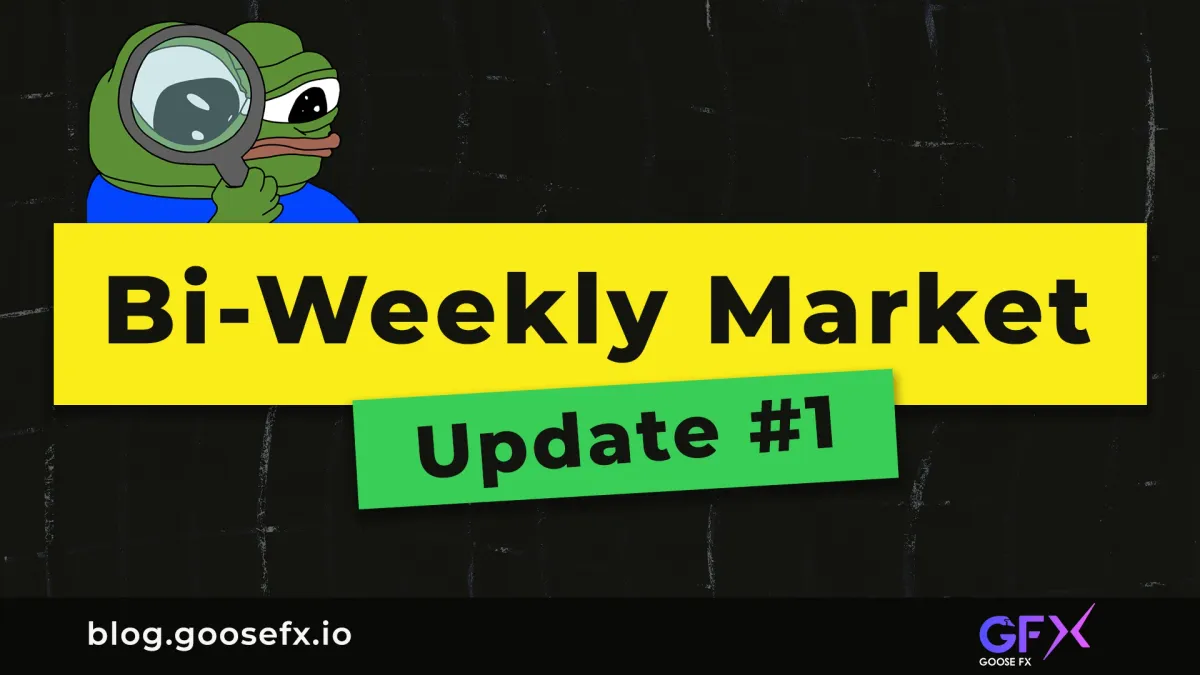 Bi-Weekly Market Update #1