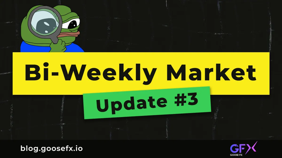 Bi-Weekly Market Update #3