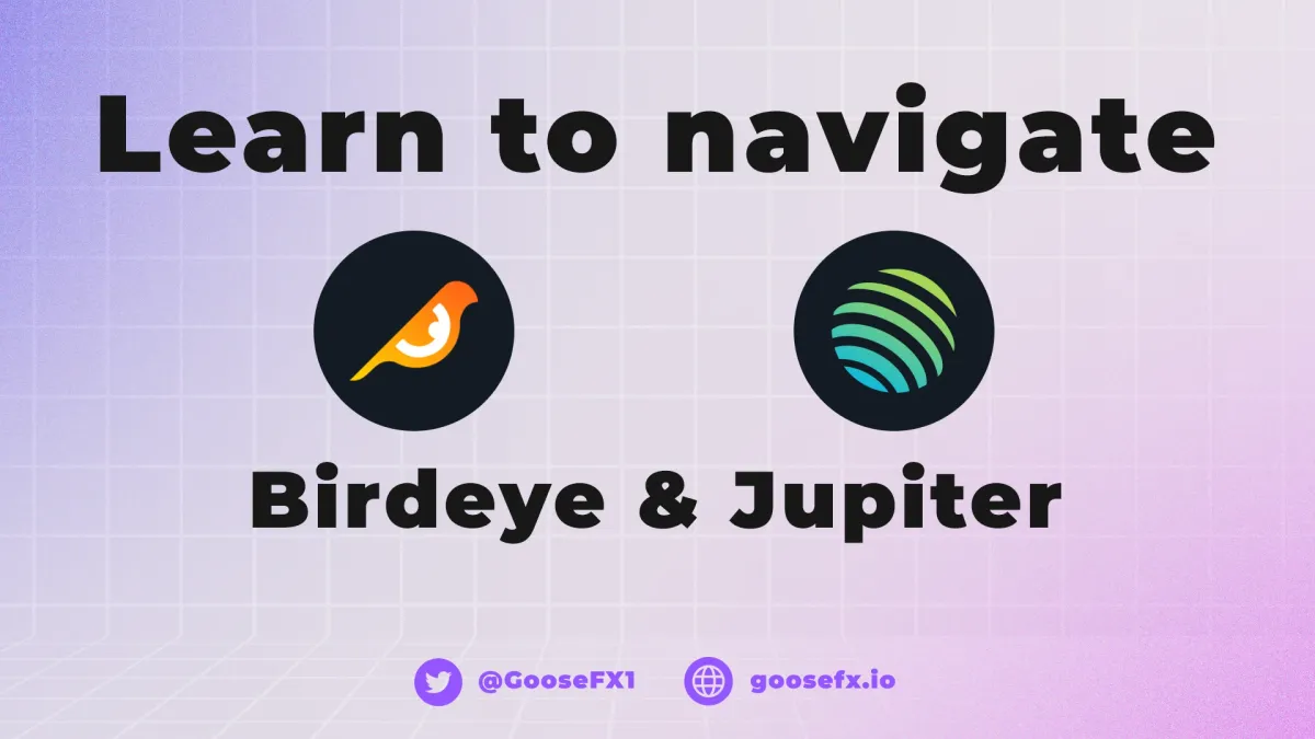 Learn to navigate Jupiter and Birdeye | Tutorial