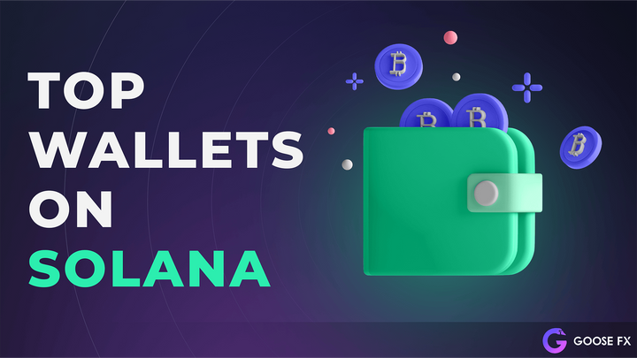 Top wallets on Solana 2022 [UPDATED] Staking, DeFi, NFTs and more