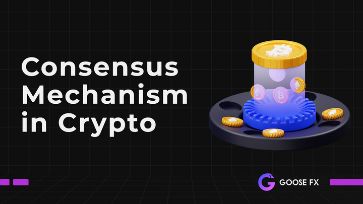 Consensus Mechanisms in Crypto