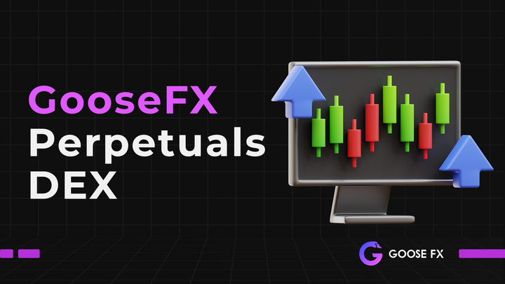 Introducing GooseFX Perps Dex: Updates and Future Plans