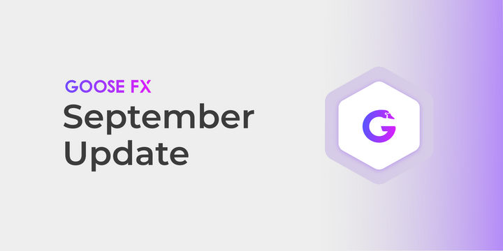 GooseFX - September Update (2023)