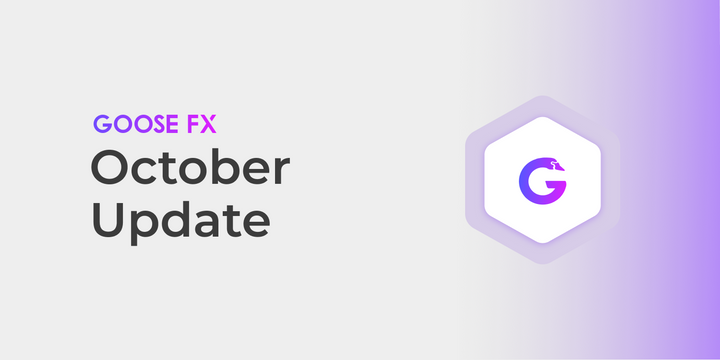 GooseFX - October Update (2023)