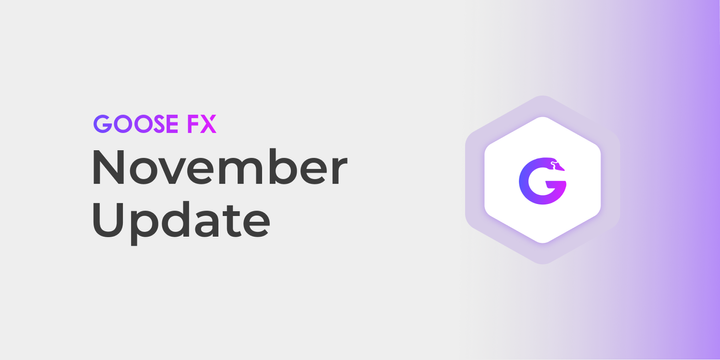GooseFX - November Update (2023)